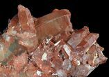 Natural Red Quartz Crystals - Morocco #51842-2